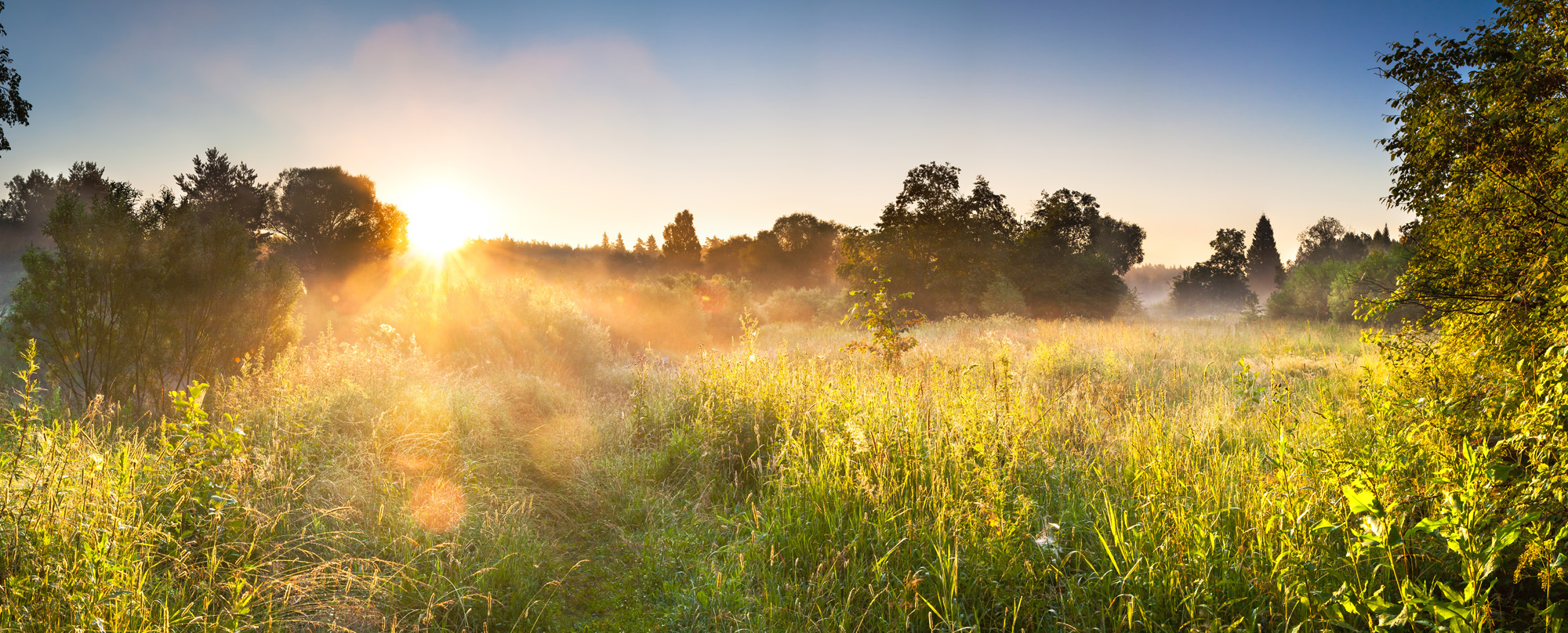 The Environmental Benefits of Professional Shredding & Recycling